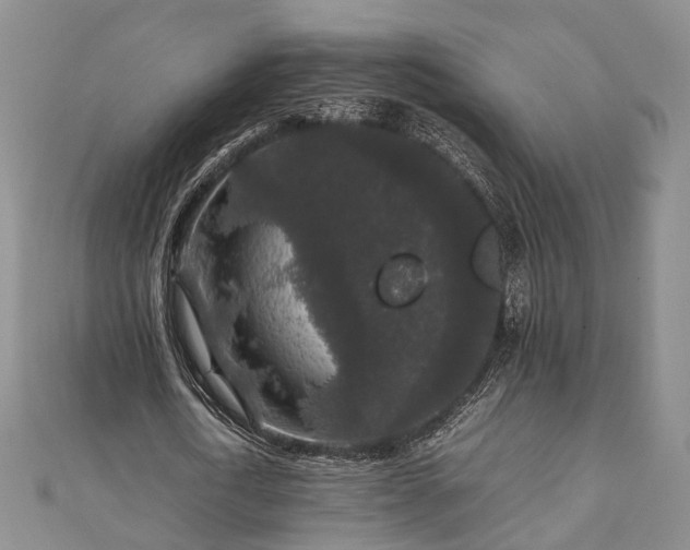 X0000111840722200907301050