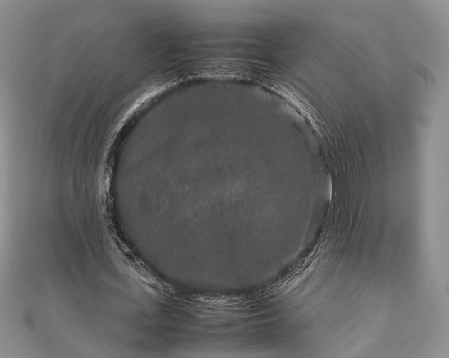 X0000111840723200907301050