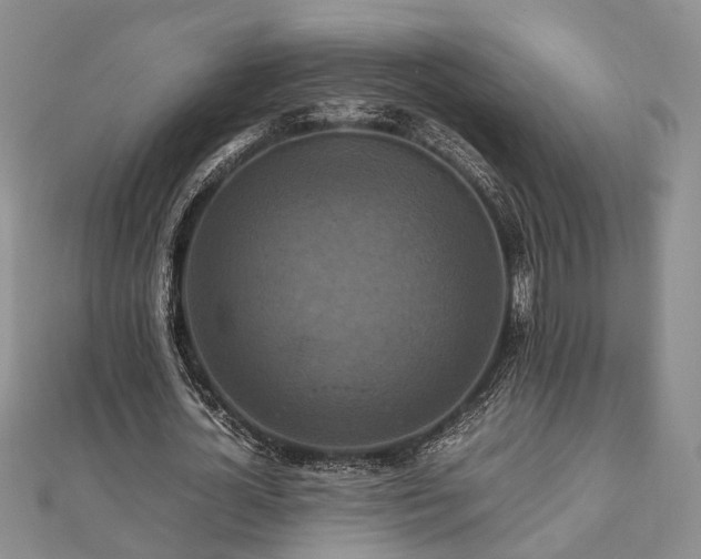 X0000111840724200907301050