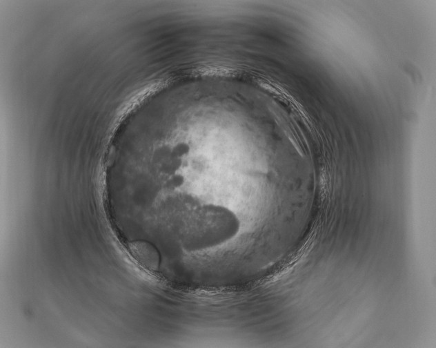 X0000111840725200907301050