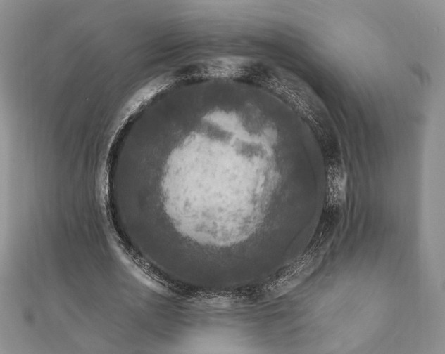 X0000111840726200907301050