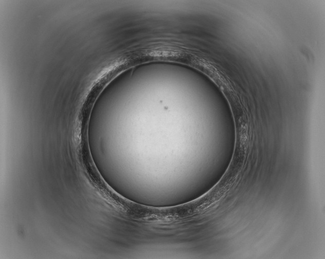 X0000111840727200907301050