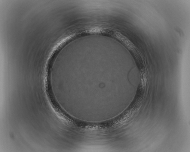 X0000111840728200907301050