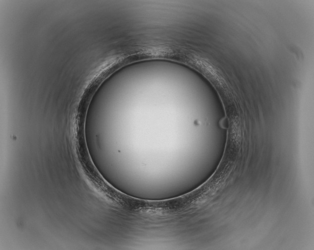 X0000111840730200907301050