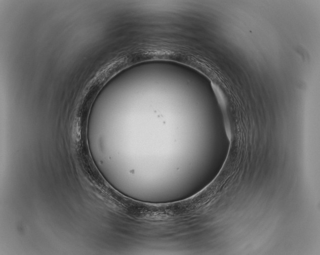 X0000111840731200907301050