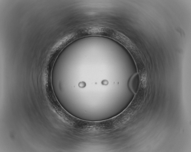 X0000111840732200907301050