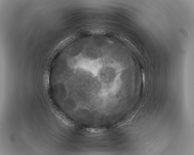 X0000111840733200907301050