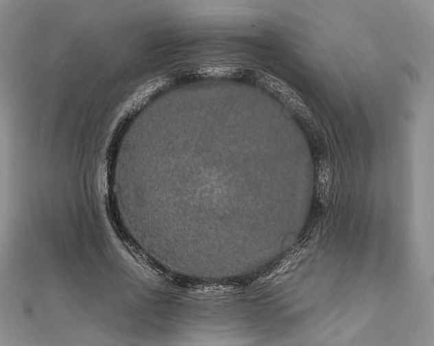 X0000111840734200907301050