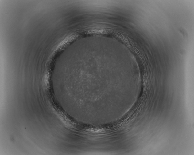 X0000111840735200907301050