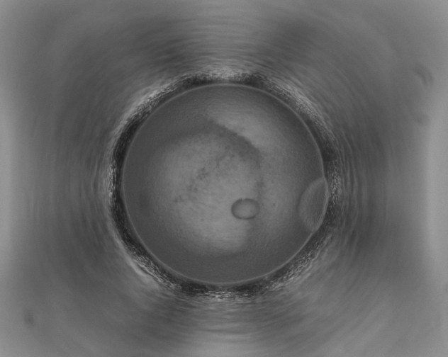 X0000111840736200907301050