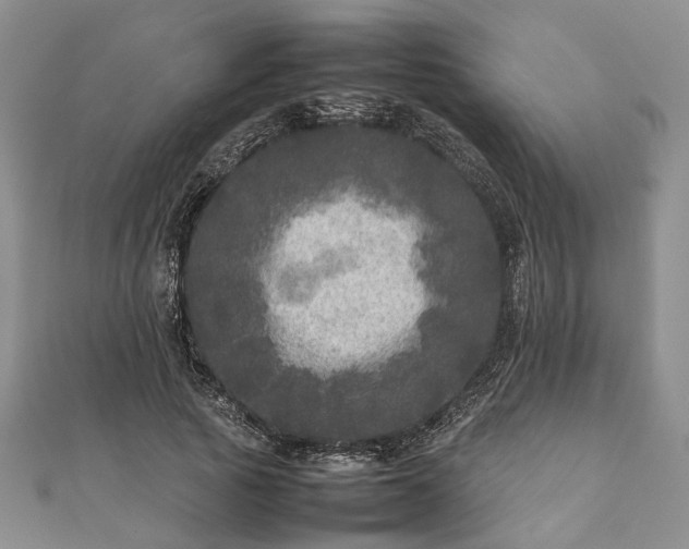 X0000111840737200907301050