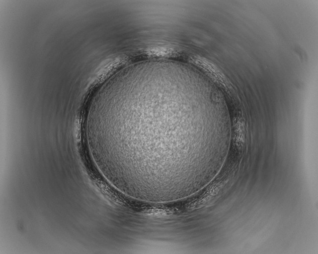 X0000111840738200907301050