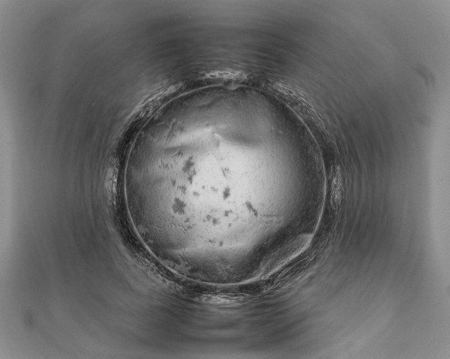 X0000111840739200907301050