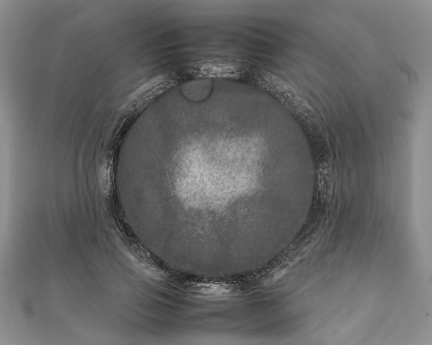 X0000111840741200907301050