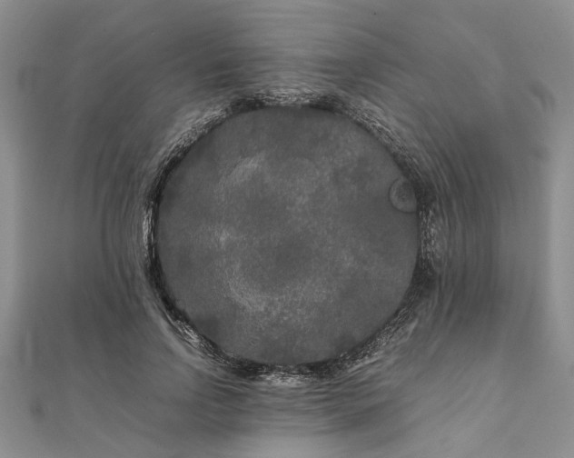 X0000111840742200907301050