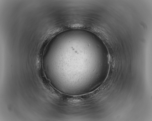 X0000111840743200907301050