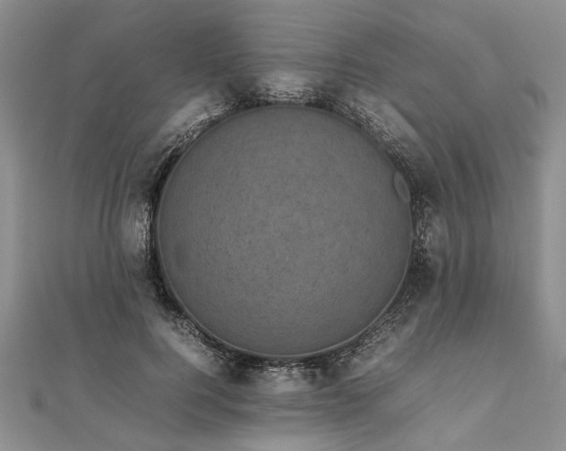 X0000111840744200907301050