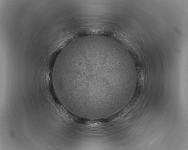 X0000111840746200907301050