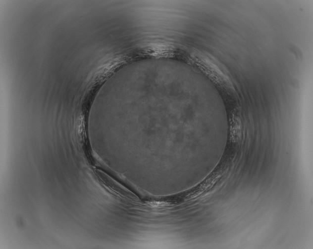 X0000111840748200907301050