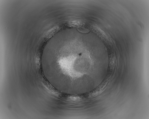 X0000111840749200907301050