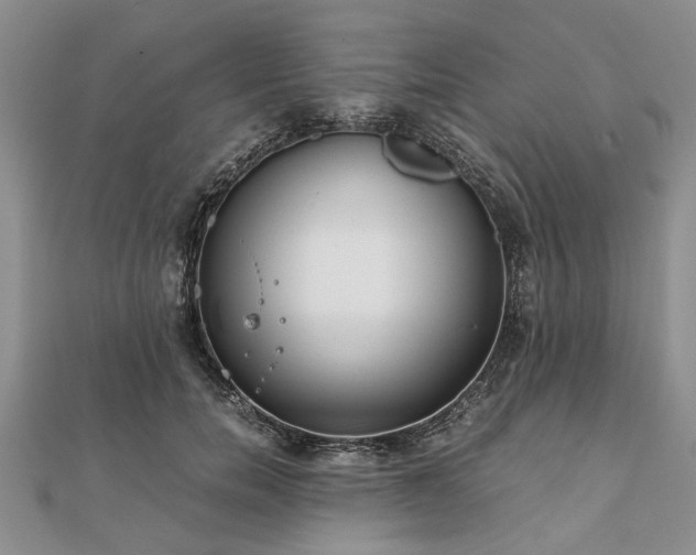 X0000111840750200907301050