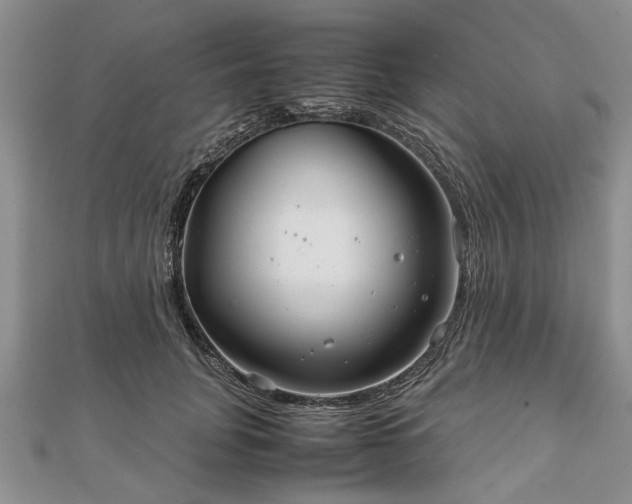 X0000111840751200907301050