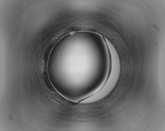 X0000111840752200907301050