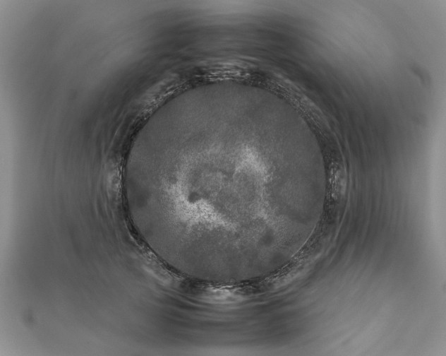 X0000111840753200907301050