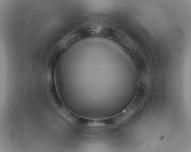 X0000111840754200907301050