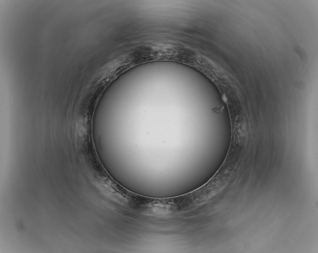 X0000111840756200907301050