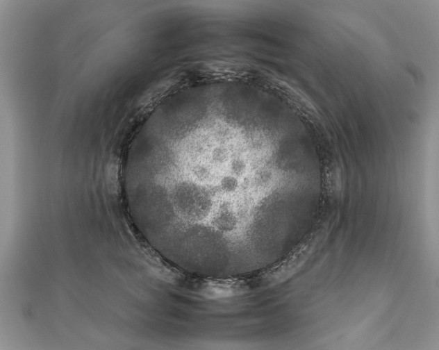 X0000111840757200907301050