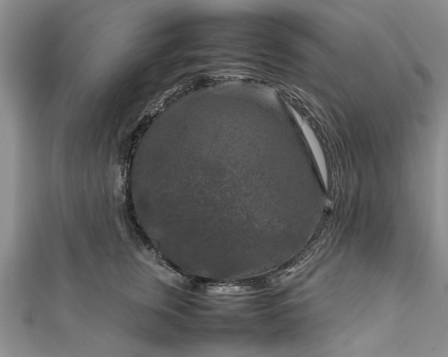 X0000111840759200907301050