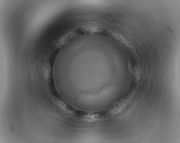 X0000111840760200907301050