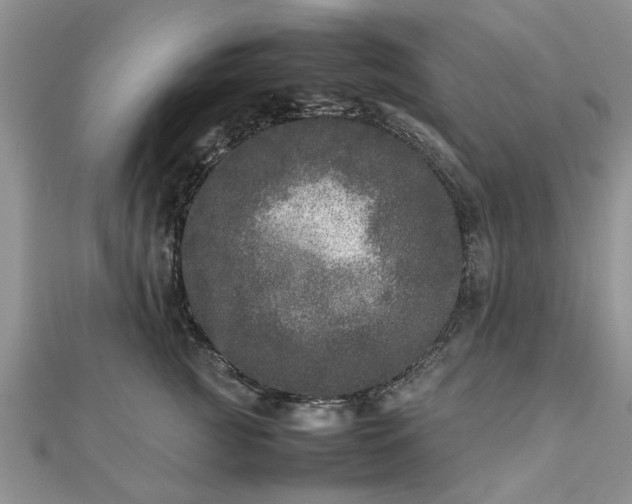 X0000111840761200907301050