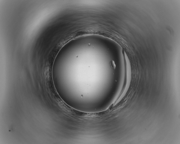 X0000111840762200907301050