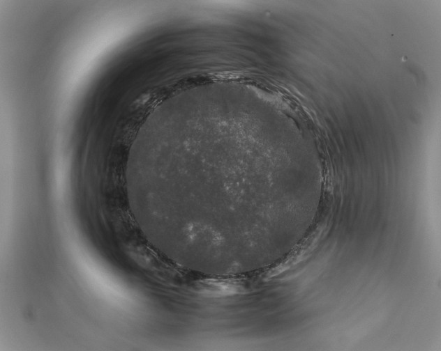 X0000111840763200907301050