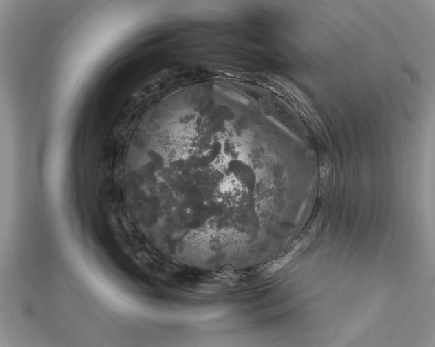 X0000111840765200907301050