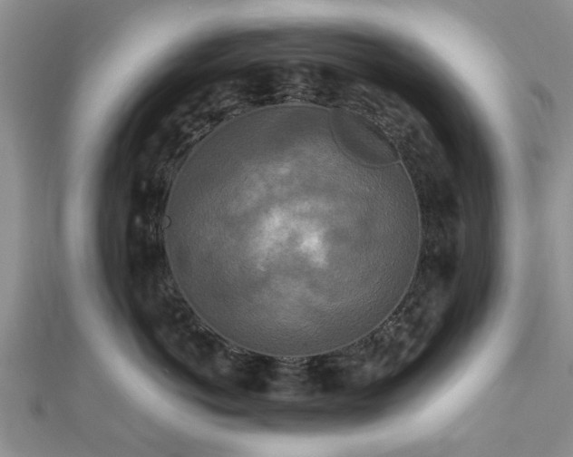 X0000111840766200907301050