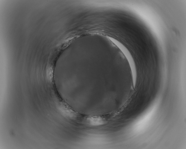 X0000111840767200907301050