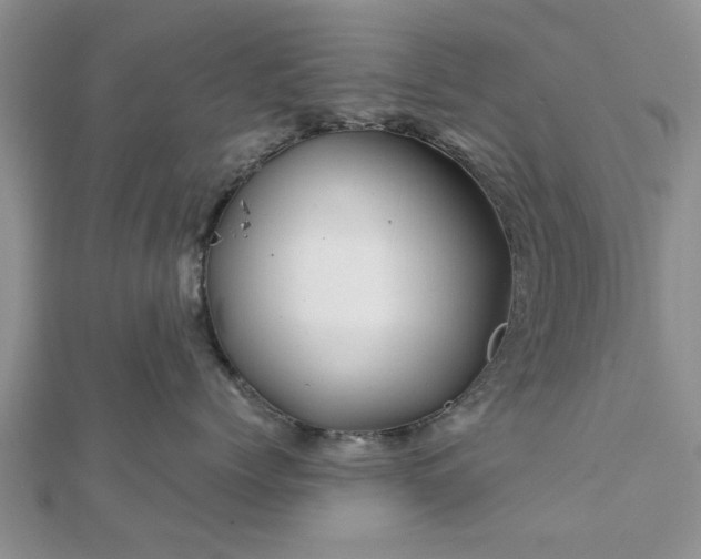 X0000111840768200907301050