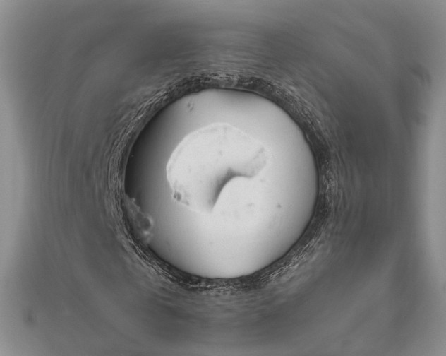 X0000111840769200907301050