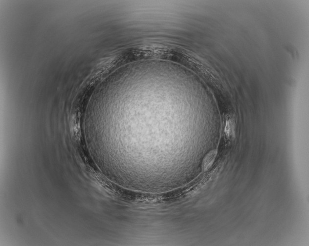 X0000111840771200907301049