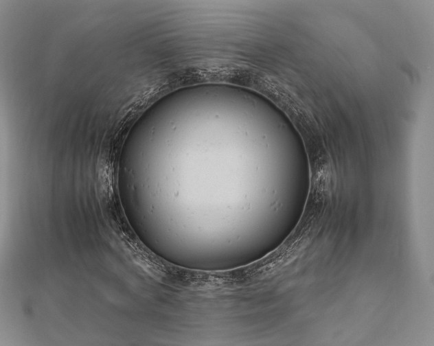 X0000111840772200907301049