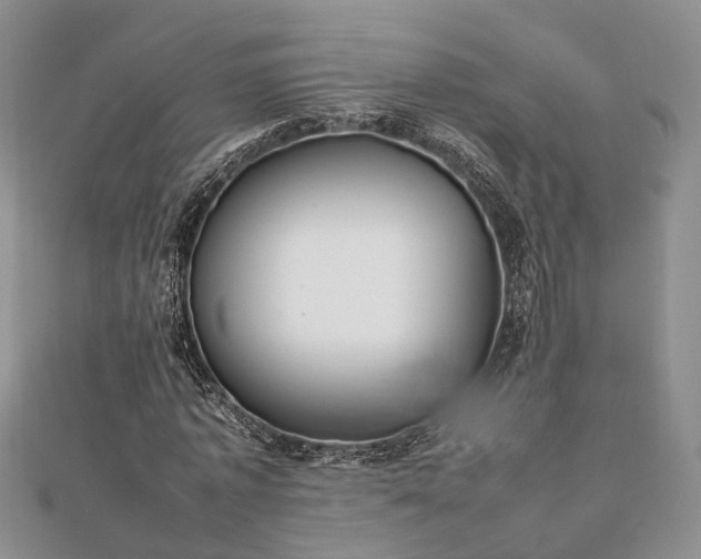 X0000111840773200907301049