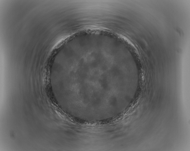 X0000111840775200907301049