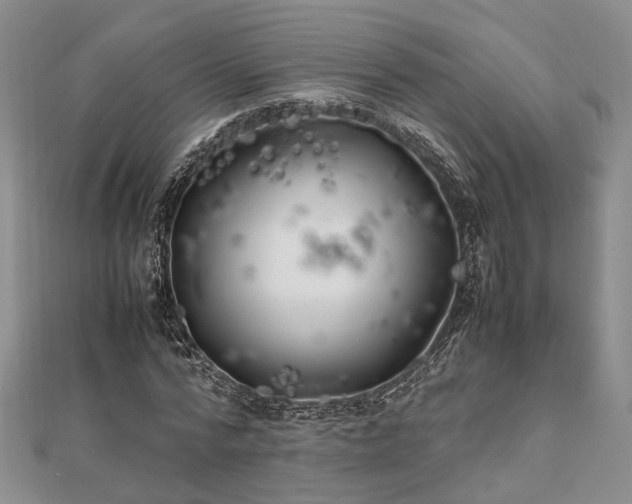 X0000111840776200907301049