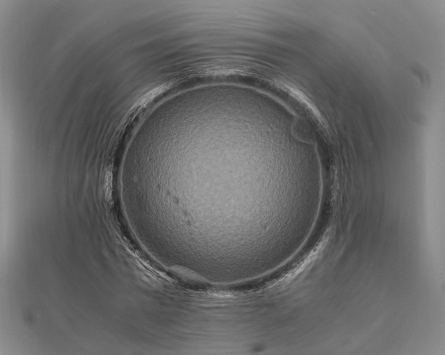 X0000111840777200907301049