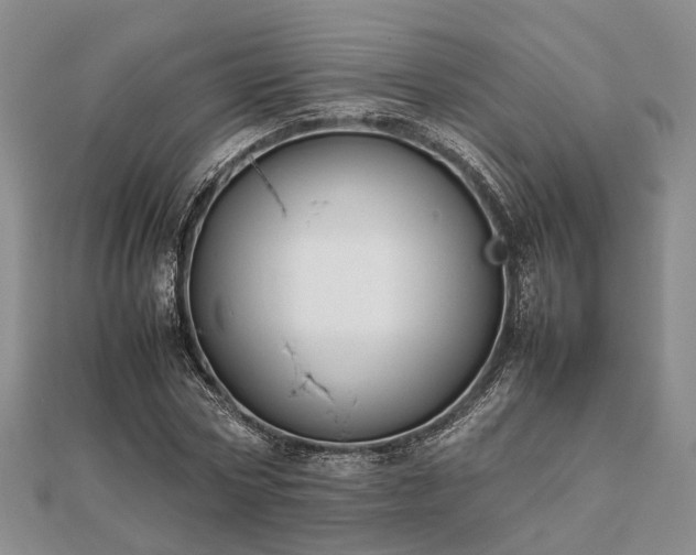 X0000111840778200907301049