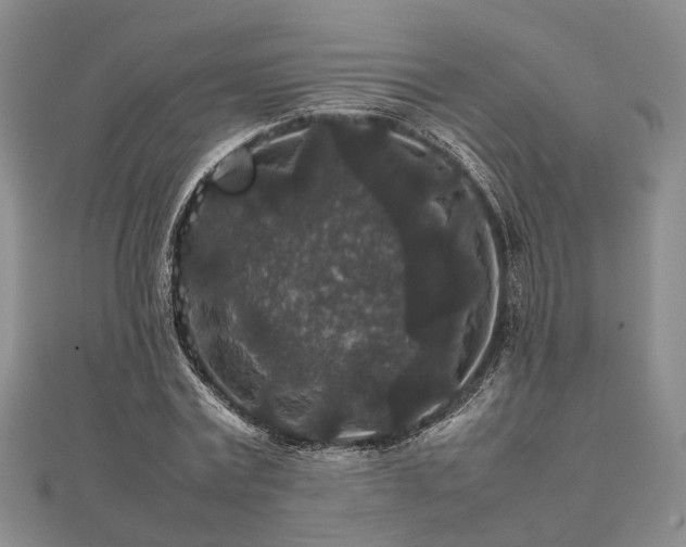 X0000111840779200907301049