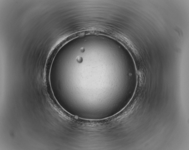 X0000111840780200907301049